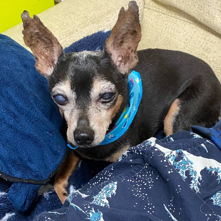 97799cd2 24f9 4606 bfbe fe0bdbaf72c4 1595493548468