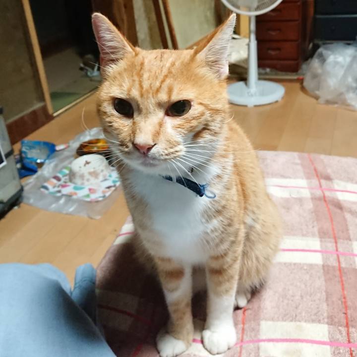 9779ac37 69d9 4ea8 b67c e8832e13d27e 1599681024631