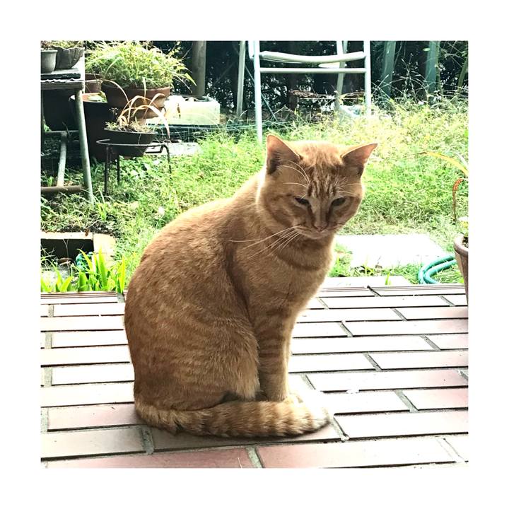 9779f449 c4c6 4e34 9da9 483fd58354a0 1636965389008