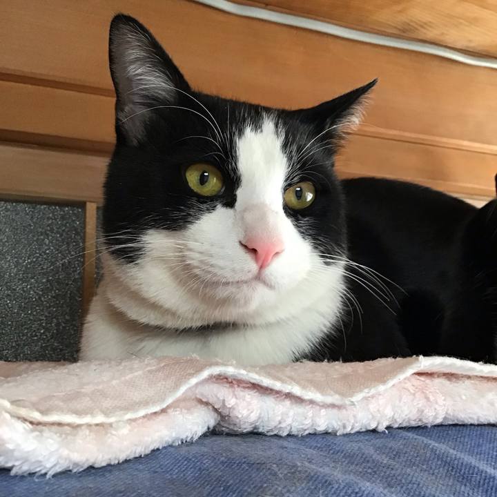 977a13e2 b4a6 4033 a601 a037032ebafb 1644199114851