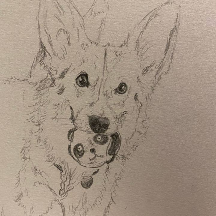 977a22ff 11f2 46da 9b13 d563e5dce436 1633351054343