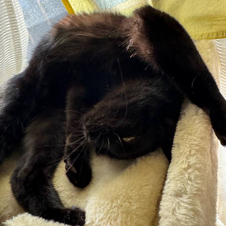 977a3881 8a70 4f00 b977 9622a664eb39 1735261871231