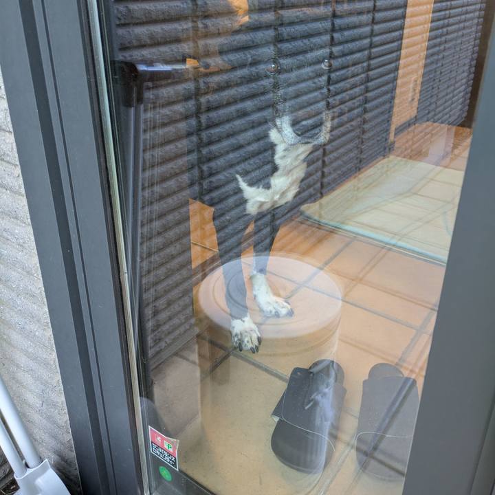 977a505b b30a 4876 a7ac 1de8450b2a6f 1771239884926