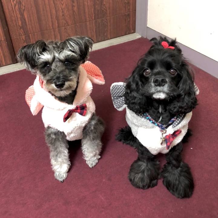 977a6087 f395 40e7 8ec5 9471c8982d20 1578027073991