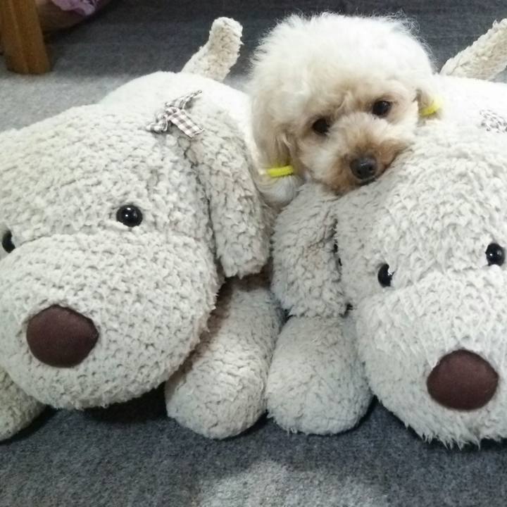 977a6c67 3464 417e 8e8d 1c288234e30a 1535706782245