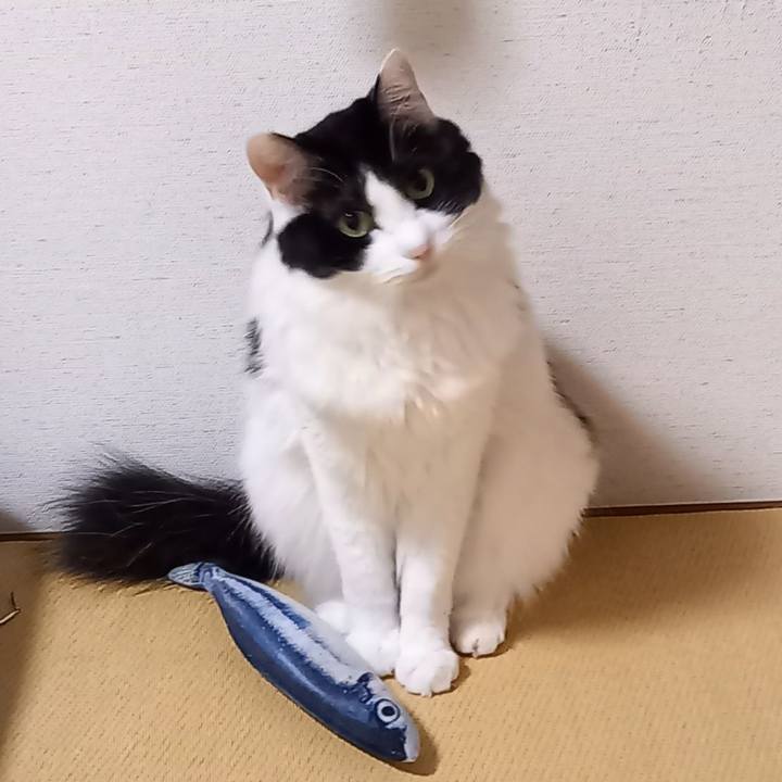 977abb08 68f4 4754 a8fd c1371fb2ffe7 1614728773723