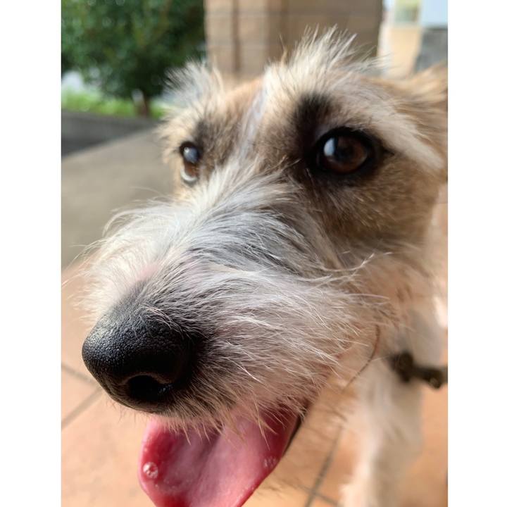 977ac9b1 231c 4ac0 9b9e 039c4faff1d3 1594462727278