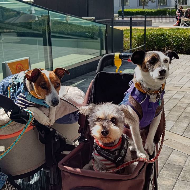 977af69d aa76 4ea1 91a0 bdfe624571f4 1679225991894