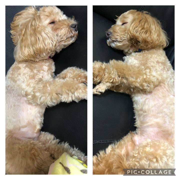 977b14de eeab 4f4d 9d8c eccc7cf21f7d 1662904414382