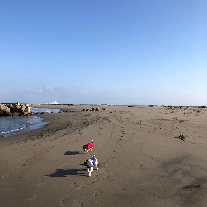 977b6c2b 3885 430d 9b55 b2fb65de7a50 1583537615321