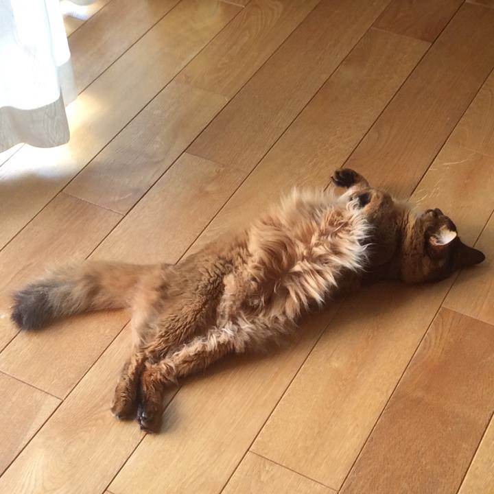 977bae17 c5db 4824 8e77 72812a9f6f5e 1632273086031