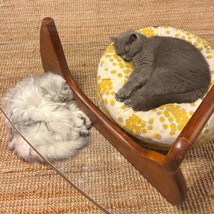 977bde0b 3e45 49f3 b26d cf1e7af70591 1655437068578