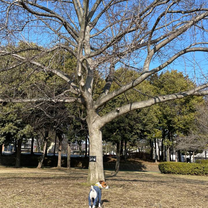 977bf340 c4e8 41ae a84b dd0371379d3f 1644890791165