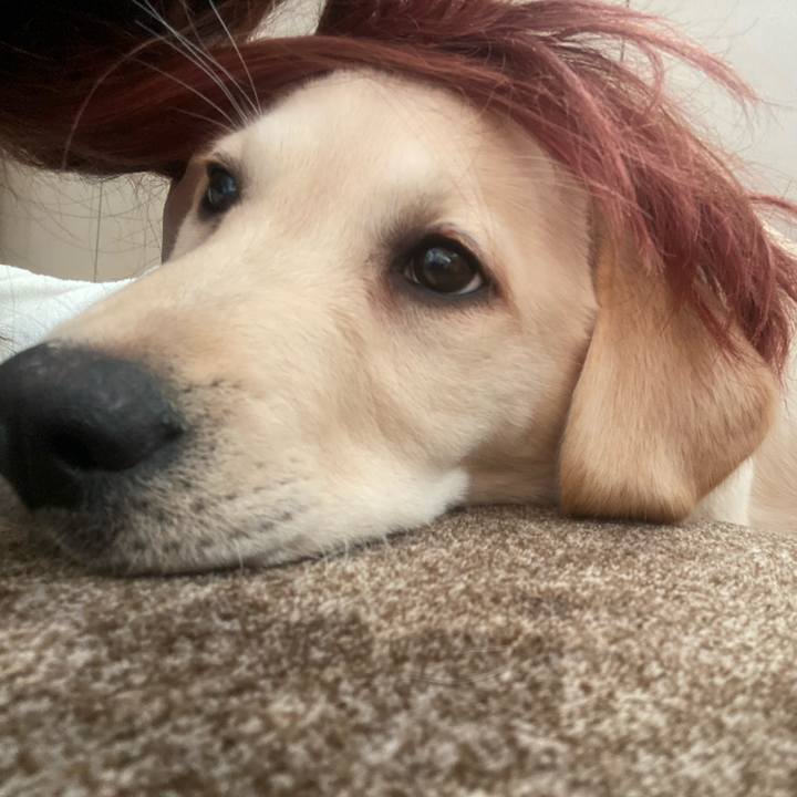 977bf57a 0388 43b1 bd6a f4e872102ae0 1612830162346