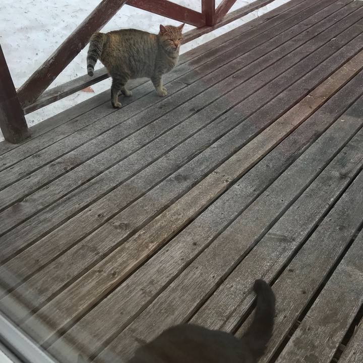 977c51ad fecc 46cf 8ae7 184dee43b7bf 1520643069929