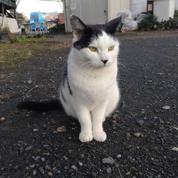 977c61d9 b461 4954 b00e 101fffacbe1d 1731651970067