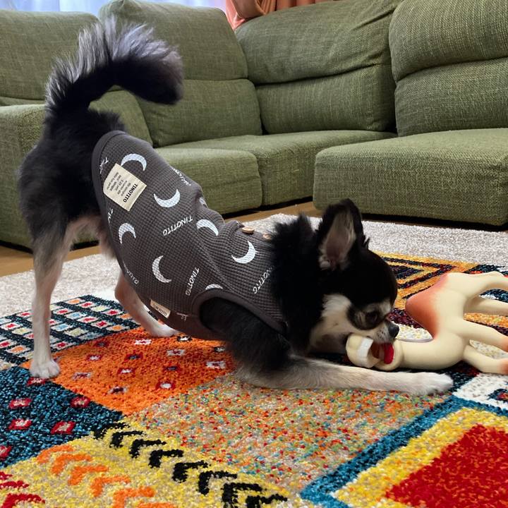 977c7118 3f3b 4b67 a453 b852d1f052fb 1682867682208