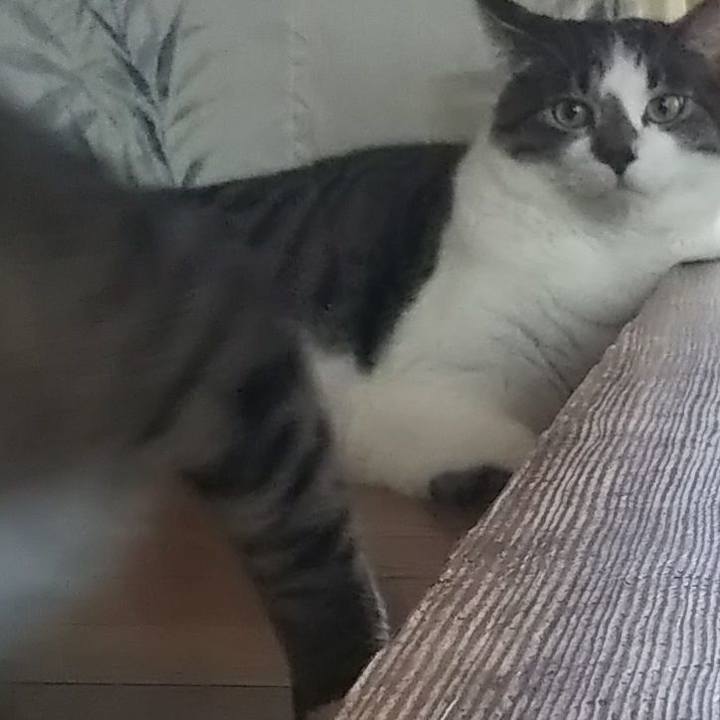 977c841d bc88 4c5e b83c 4f84063627e8 1627607113090