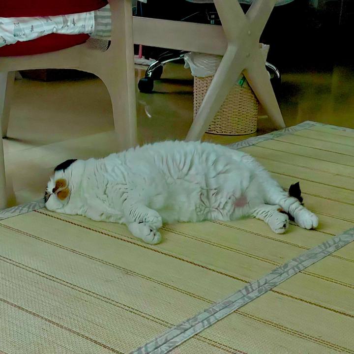 977cf2de 47b1 49d0 abf9 18f23ffdbcc6 1663028280700