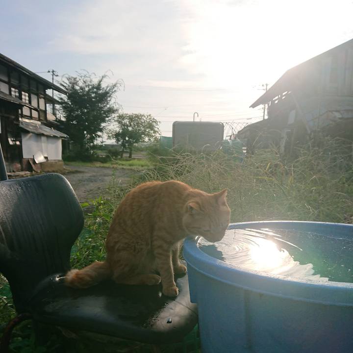 977d0b6f 2fa8 4590 b3aa ad9696e08ff8 1663278967324