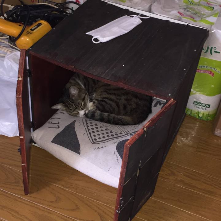 977d0d7f e728 4a5e 84bd 4ae447388679 1574129054763