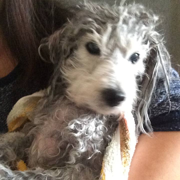 977d2941 2edd 498b b653 443091c88a62 1518309121507