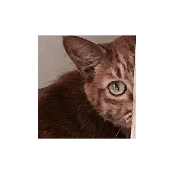 977d5371 21fe 423a bba8 81846e757b02 1664021698930