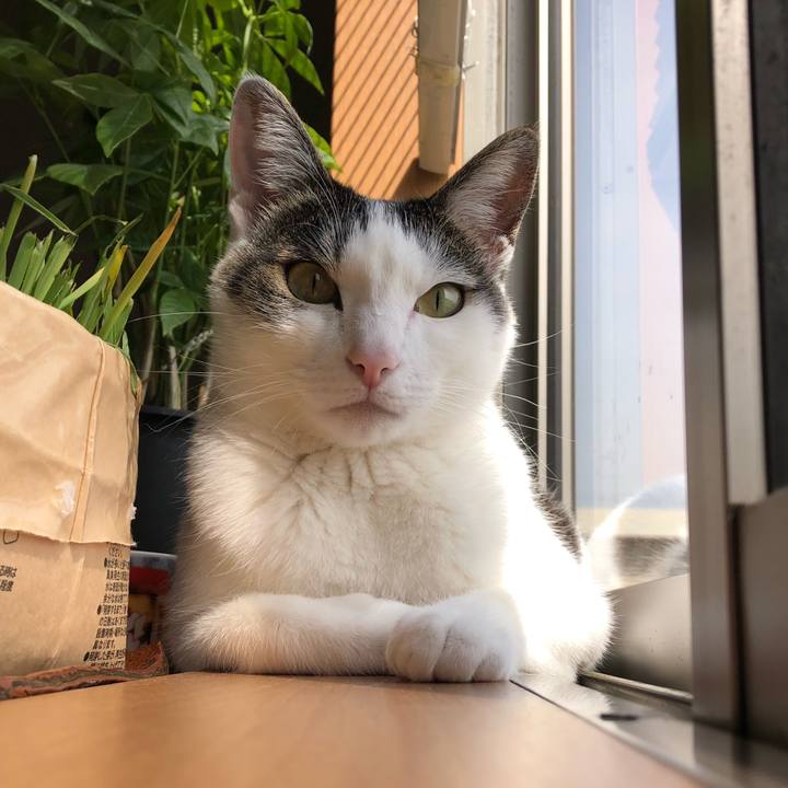 977d5c92 9735 4814 8ea1 db6fb05e114c 1681777785477