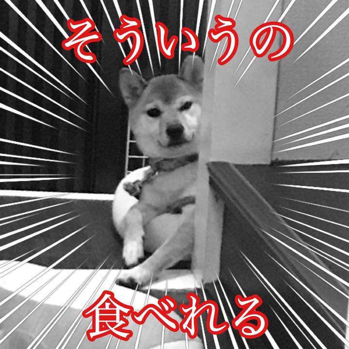 977d7ea9 71b5 4db6 a7b0 ac8f1c59574e 1539002754498