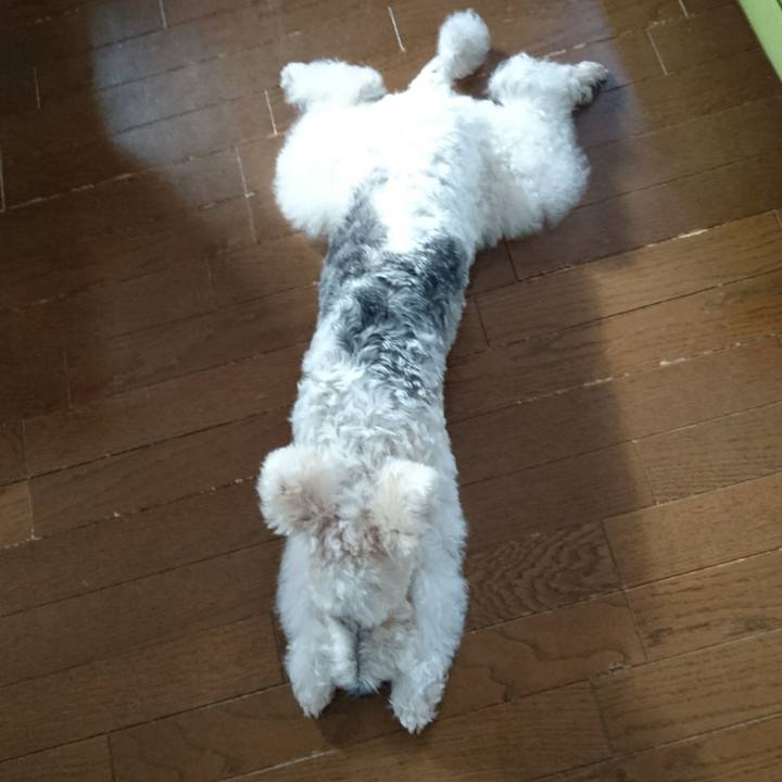 977d8b56 d54a 4234 9170 e95d6f01ac4f 1509753311453