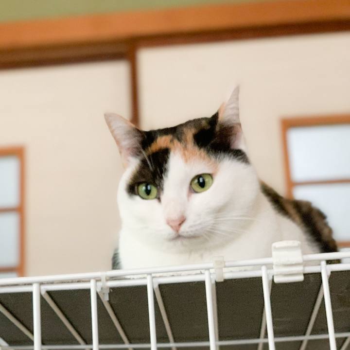 977d8cd9 63de 4aec 9134 34715443af60 1577584220318