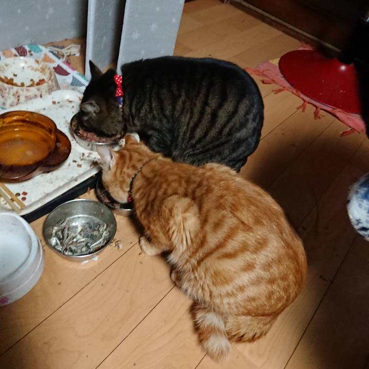 977d8ee7 f31a 4aaf 929a 2bb55c417201 1643144592328