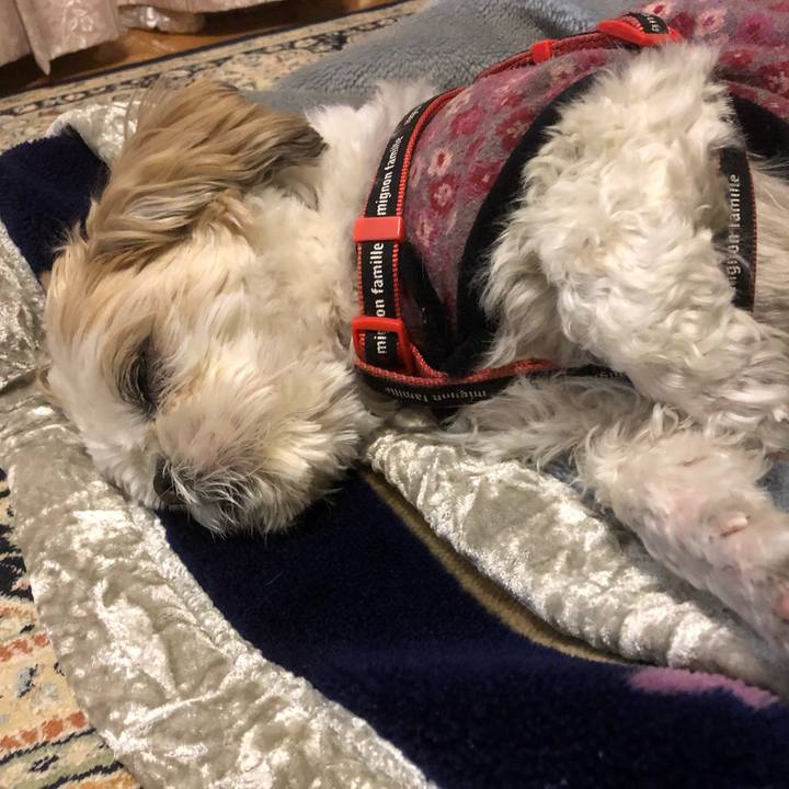 977dce1d 6870 47d3 99ce ebf8daacb129 1614116963938