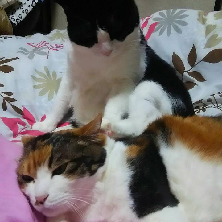 977dd99c f8d3 48e9 b0cd beb6e30c5f7c 1578720071933