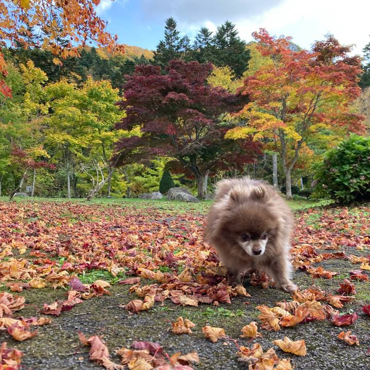 977e09b2 f8ba 4f5d b0ff 60fe39d46d9d 1698299444844