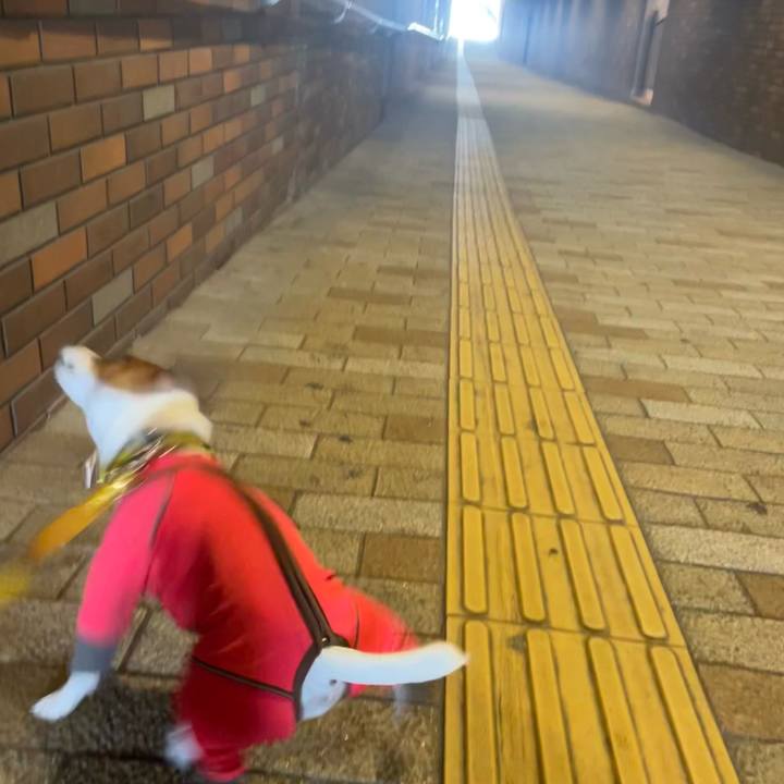 977e17e0 2113 46f2 ba7b 5614907b23a4 1643090809380