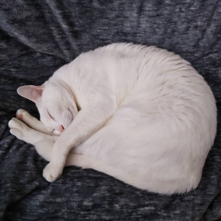 977e20f7 5a1d 430b 8526 e1ee69048cef 1550464183626