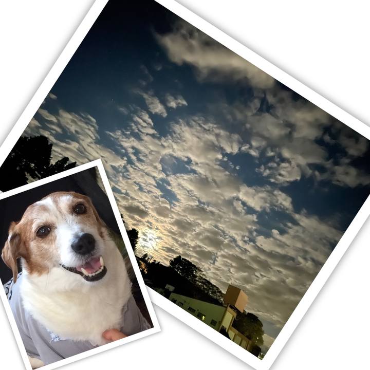 977e2626 f78e 4404 88f1 79c8aa4fa038 1634811323626