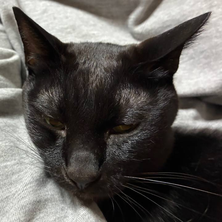 977e2c2f 287f 4c4f be74 5d302cf61211 1747482525635