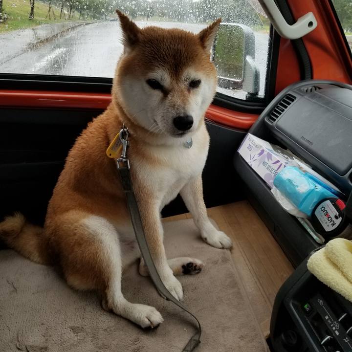 977e3033 5c0b 4218 8775 c1c0cfdf649f 1568184802217