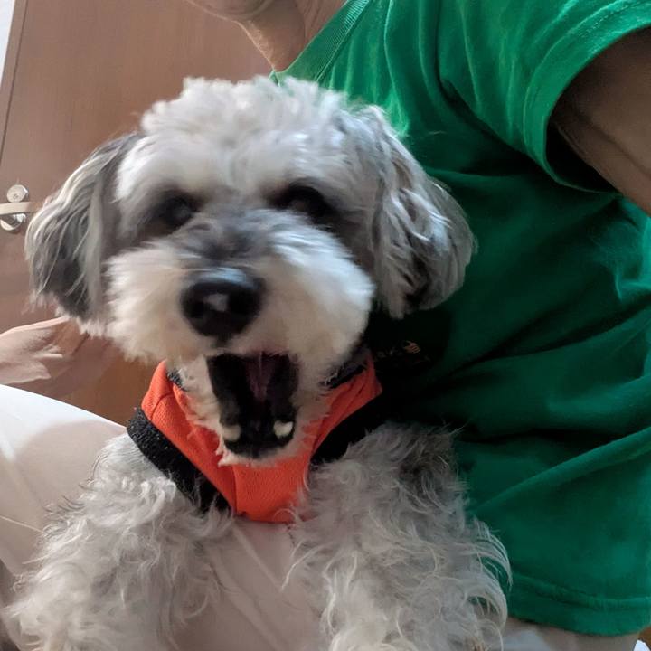 977e3a7e 174b 4df0 80ed e3575c3d1d57 1760445921127