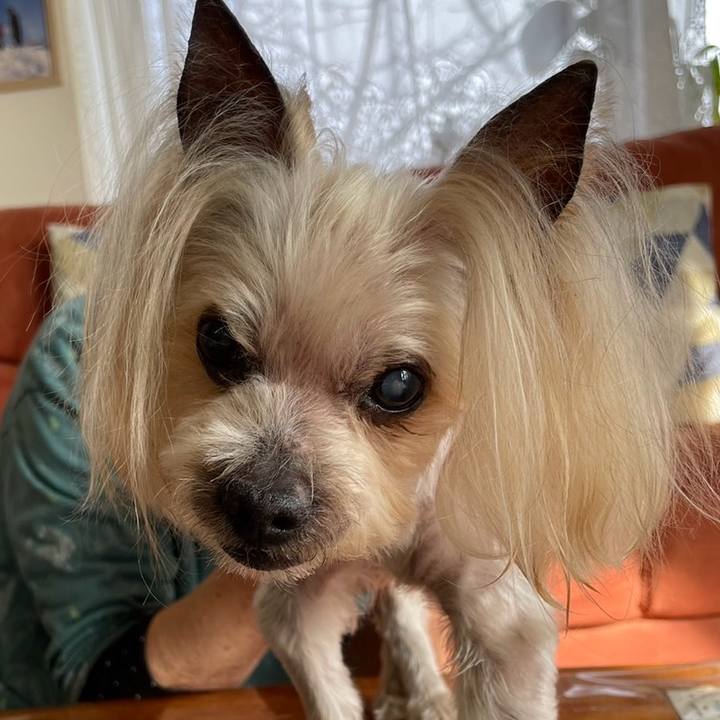 977e6fd5 d273 4e95 a43a d14af9fde73d 1710847728066