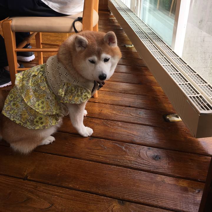 977e8f3c bebe 41ca a49b d0cf3f4a89a6 1570808076273