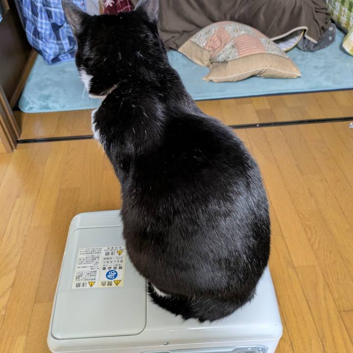 977ead6f 2dbb 4fab b191 50b615823bd4 1764494534918