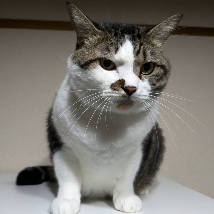 977eafd1 2d60 494c a608 afa1055d5e50 1725539480225