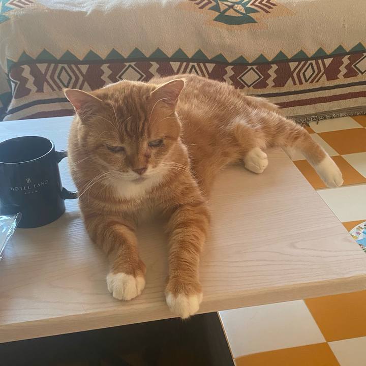 977f575a 7c5c 46ca bc90 183c437ed6ac 1720080504392