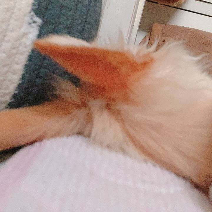 977f714a 60a3 4bde a34d 88a16c85fd3e 1600595416798