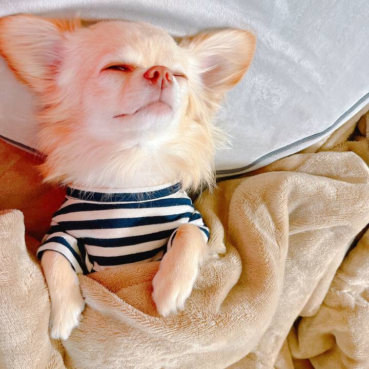 977f7c4f af36 43fe a79d 4f39b5ec7169 1648541308292