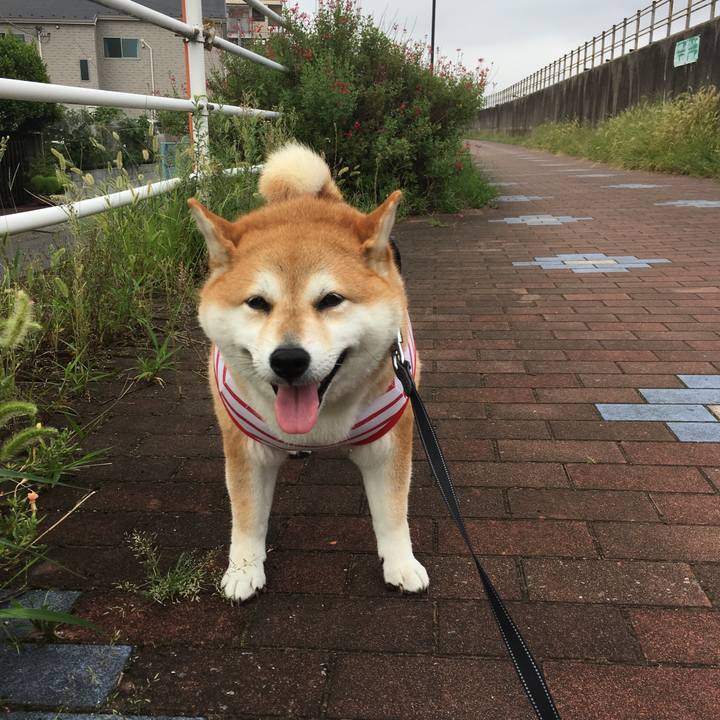 977f8ffd acb0 4187 93c6 6defab3a448b 1567470093079