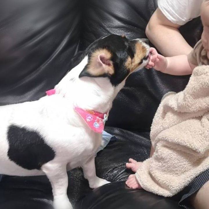 977fbcc9 392f 4b05 8dae c980a6e3f8eb 1661085398316